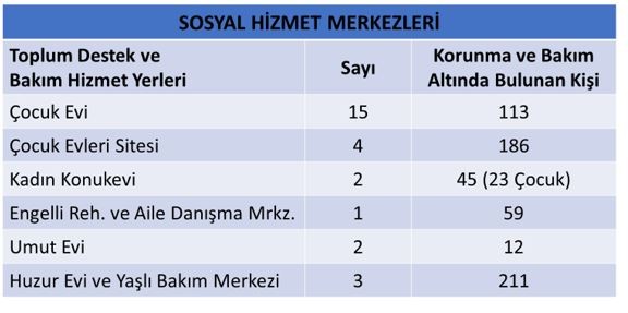 sosyal1